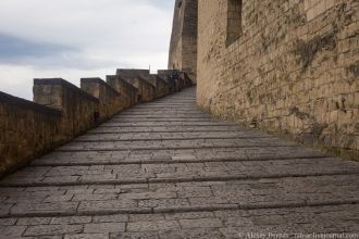 Это название произошло благодаря существ