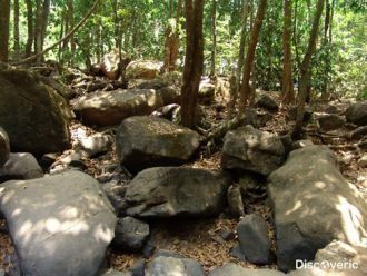 Здесь очень богатая флора и фауна.