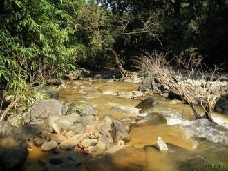 На его территории произрастает большое к
