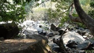 Заповедник знаменит огромным разнообрази