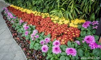 Парк Юесю утопает в цветах и зелени раст