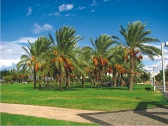 В центре парка расположен пруд, по котор