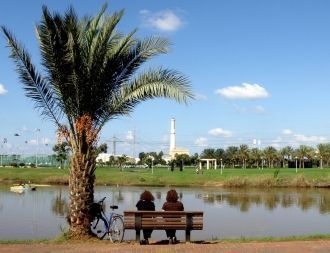 Парк был заложен в 1951 году