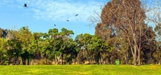 Площадь Яркона составляет более 380 га. 