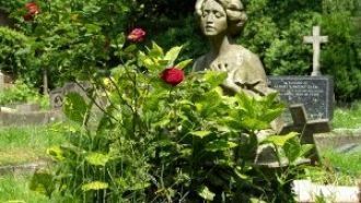 Хайгейтское кладбище, подобно музыкально