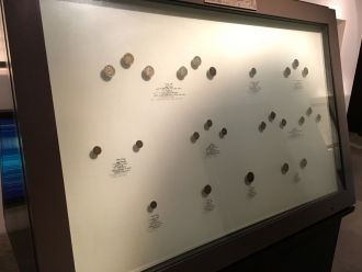 Монеты, которыми пользовались в Дубае в 