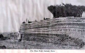 Старинное изображение Налетале.