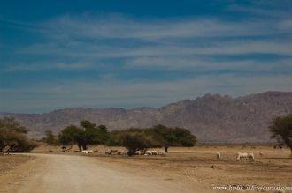 Хай-Бар Йотвата