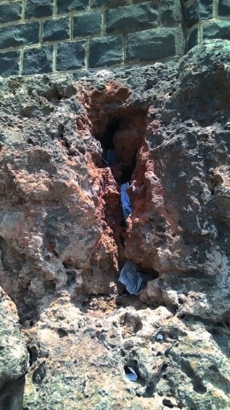 В расщелинах оставшейся от древней церкв