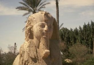 Маленький сфинкс в Мемфисе.