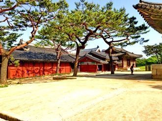 Пройдя через них, можно осмотреть первый