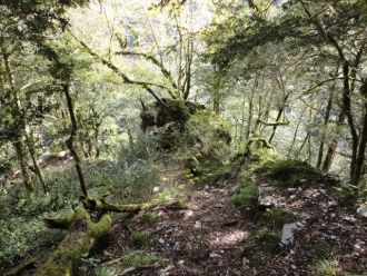 Спуск к реке вдоль южной стены изнутри