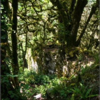 Стены были построены из крупных блоков и