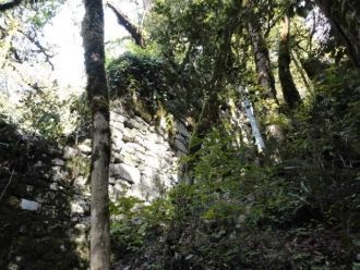 Ученные и археологи до сих пор не пришли