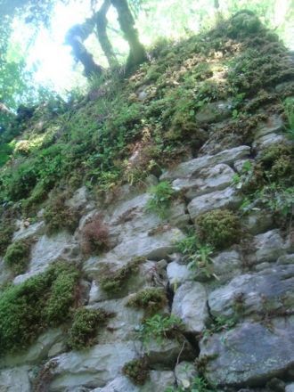 Крепость находится в северо-восточной ча