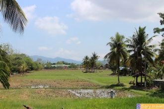 Территория Laman Padi Langkawi достаточн