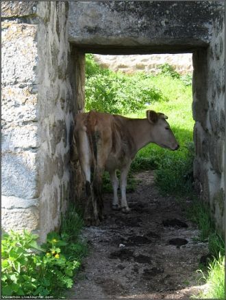Вход в крепость, как предполагается, зак