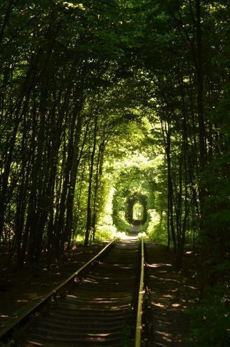 Японский режиссёр Акийоши Имазаки в 2014