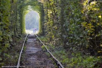 Высказывалось предположение, что в резул