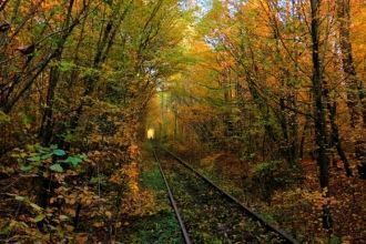Поезд здесь проходит 2-3 раза в день.