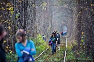 Лес, образовавший 