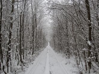 Это настоящий природно-технический феном