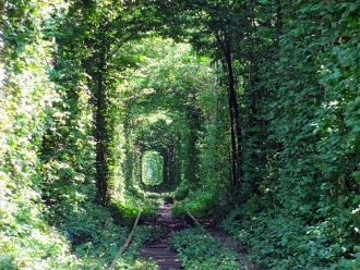 Через которые много раз проезжал поезд, 