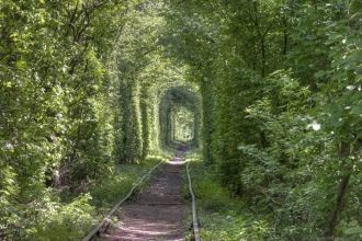 В теплое время года, когда распускаются 