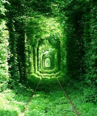 Тоннель Любви в Ровно