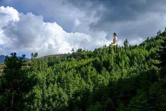 Все Будды выполнены из броднзы и покрыты