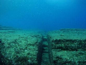 Основная масса тех, кто лично осмотрел п