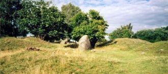 Бирка. Курганы и могильные камни.