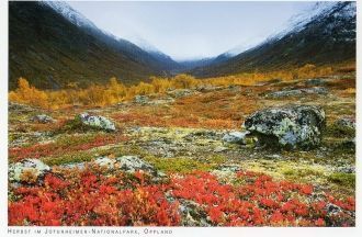 Осень в национальном парке Йотунхеймен.