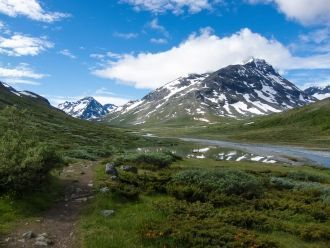 В Йотунхеймен очень богатая флора и фаун