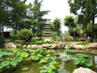 Сад Чуньсао