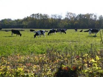 К территории заповедника относится нижне