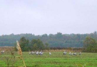 Заповедник действует с 1957 года. Целью 