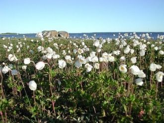 Кроме того, в Национальном парке Матсалу