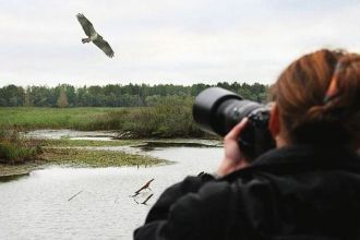 Таким образом, для орнитологов здесь най