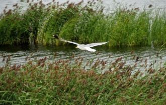 Национальный парк Вилсанди известен преж