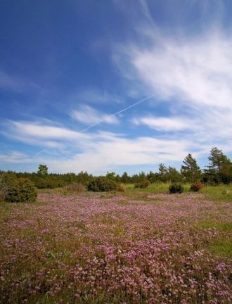 Заповедник создан с целью защиты природы