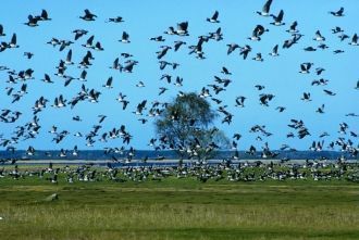 И в 1910 г. острова Вилсанди и Вайка пол