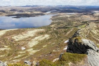 Леса в Рондане состоят в основном из бер