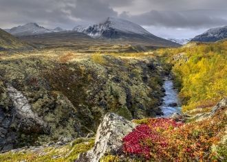 Выше уровня 1500 м над уровнем моря в Ро