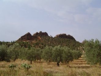 На территории археологической зоны можно