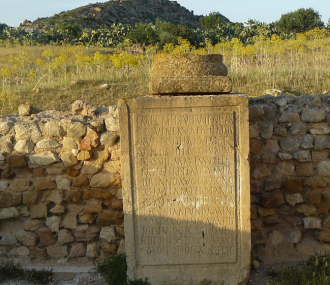 Историки, изучая еще более древние уцеле