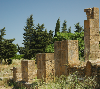 Была раскопана древнеримская дорога, кот