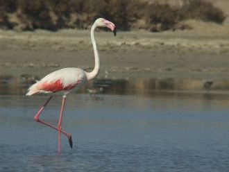 Ширванский национальный парк - одна из и