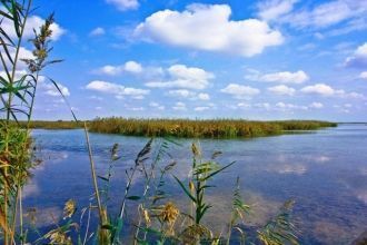 В Ширванской степи самая теплая зима в А