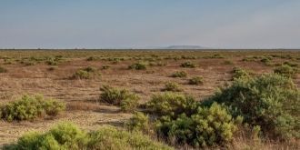 На территории Национального Парка преобл